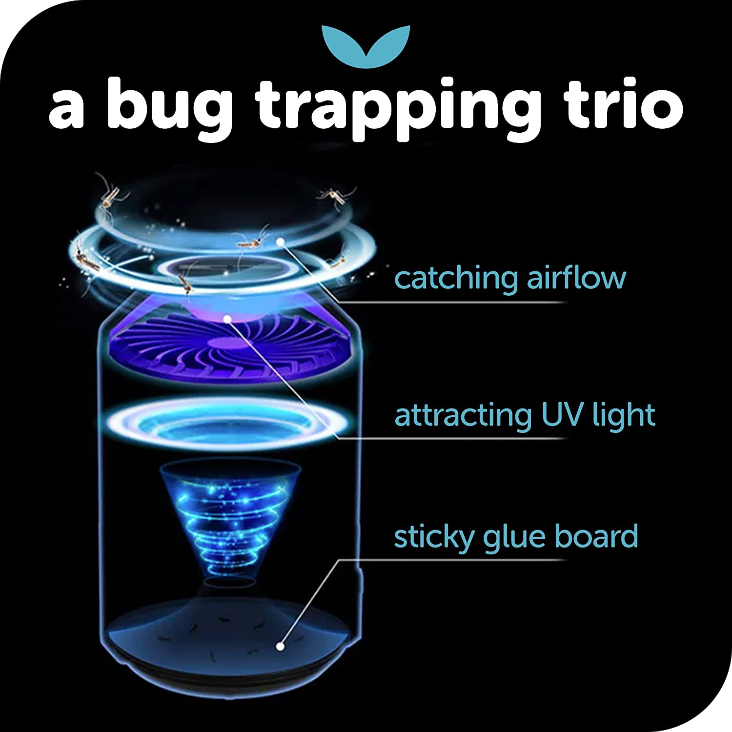Katchy Indoor Insect Trap - Catcher & Killer for Mosquitoes, Gnats, Moths, Fruit  Flies - Non-Zapper Traps for Inside Your Home - Catch Insects Indoors with  Suction, Bug Light & Sticky Glue (